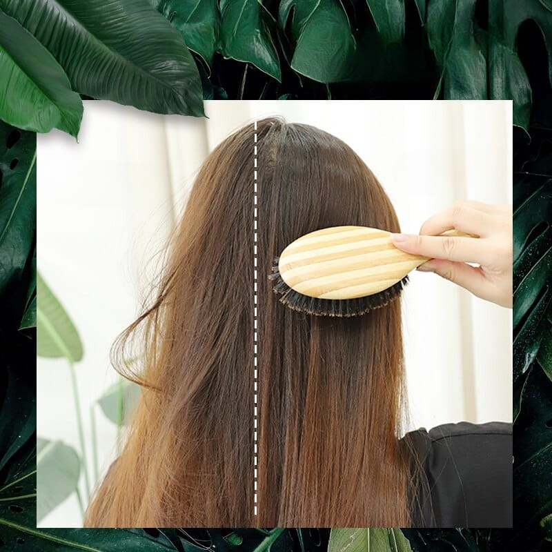 Brosse à cheveux en poils de sanglier – Image 3