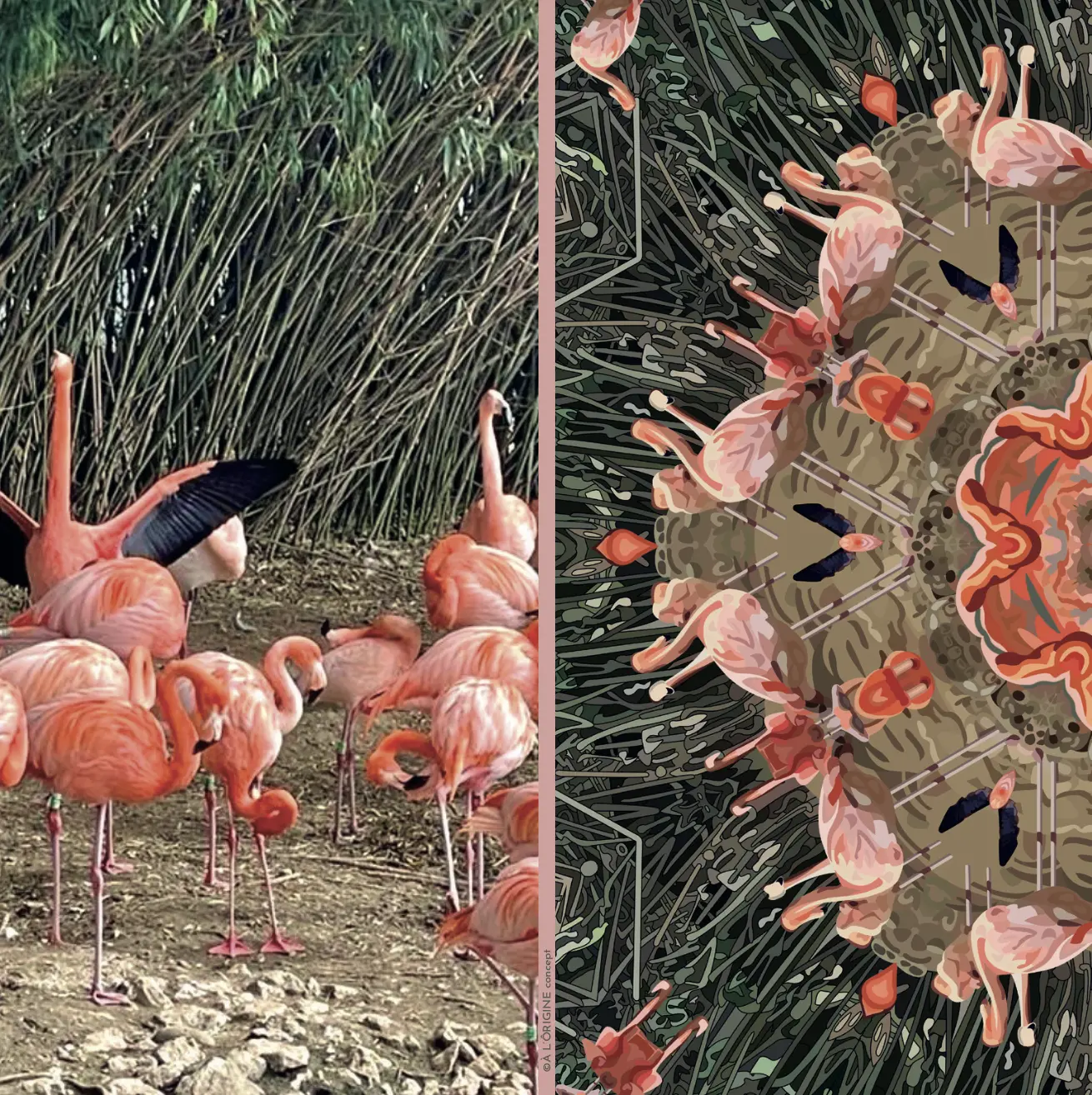 Foulard soie Bandana Flamingos – Image 3